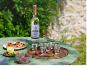 Plateau présentant des verres shooter de vodka pure Gérard Depardieu, présentés avec une assiette apéritive de dégustation 